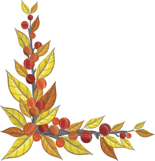 秋天的角落里有浆果图片下载