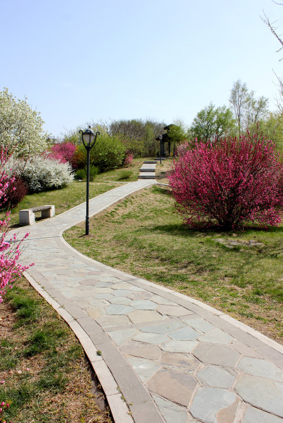 园艺、路图片下载