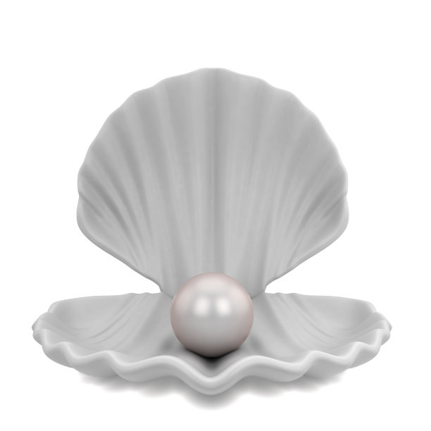 珍珠贝壳里图片下载