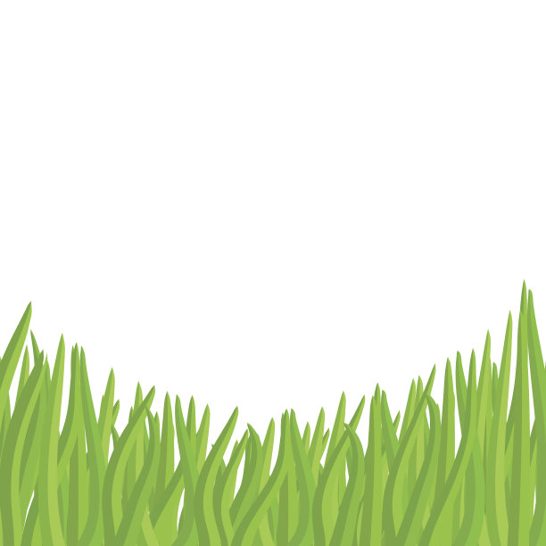 白色背景上的绿草。矢量插图花园。图片下载
