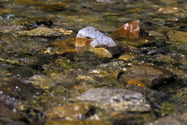 流水中的石头图片下载