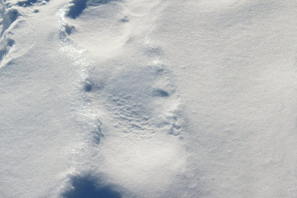 雪表面背景图片下载