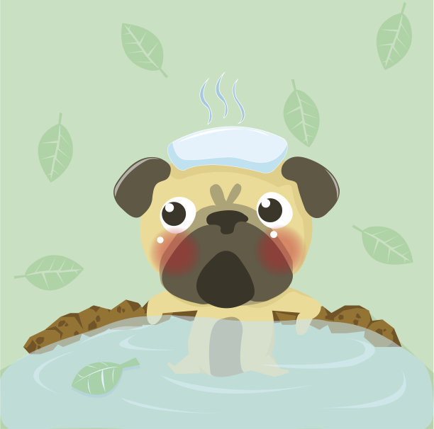 哈巴狗放松图片下载