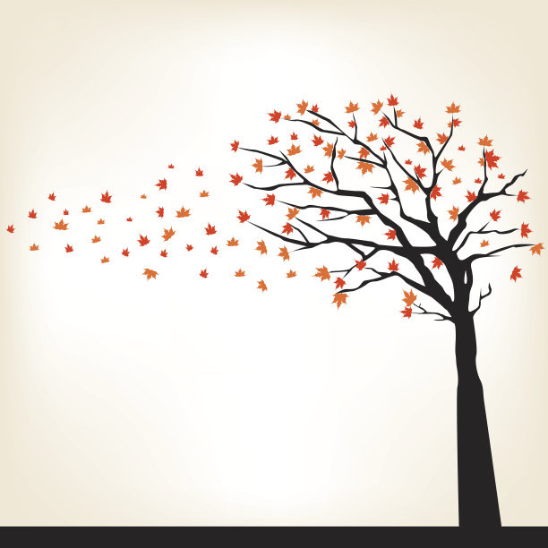 秋天的树图片下载