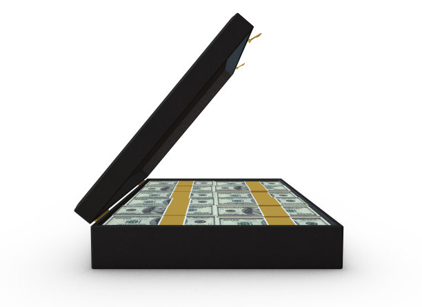 公文包里的钱- 100美元图片下载