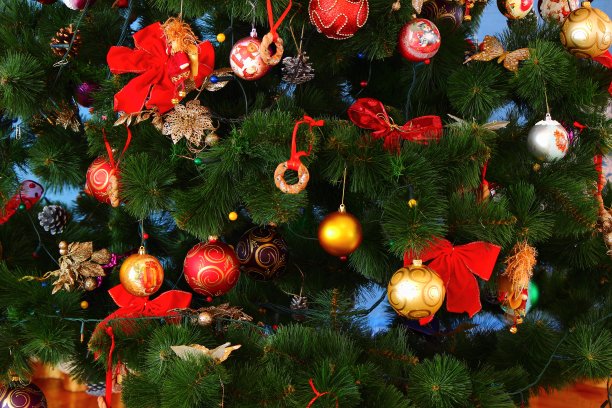 圣诞树图片下载