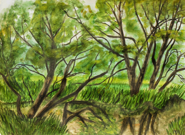 夏天的风景,画素材图片