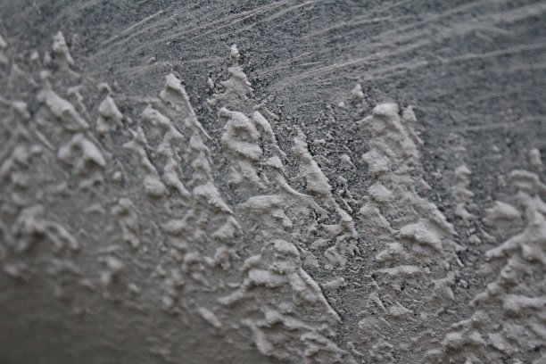 泥浆树图片下载