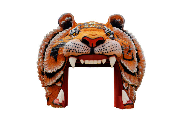 孤立的虎头作为一门白底图片下载