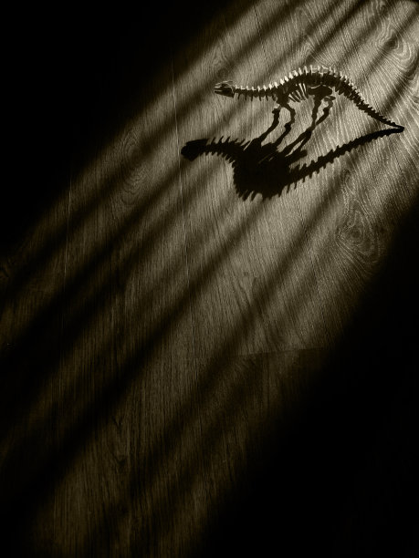 黑暗的房间里可怕的恐龙骨架图片下载