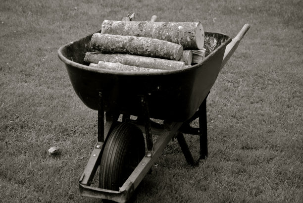 手推车上的原木图片下载