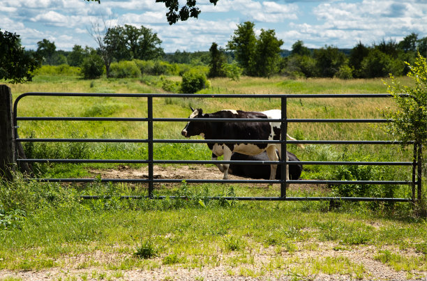 在未开垦的土地上避开栅栏图片下载