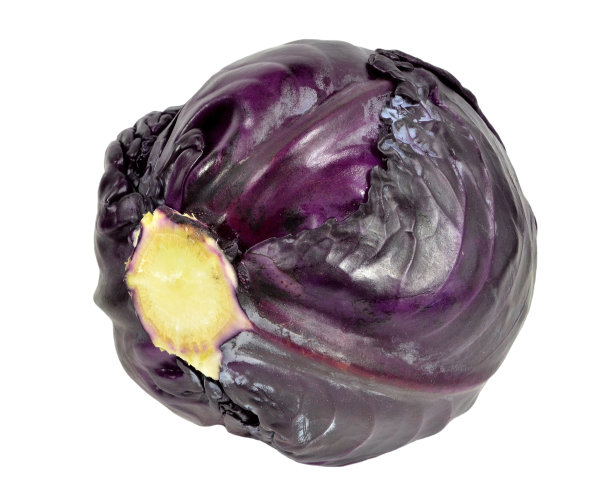 出头红甘蓝图片下载