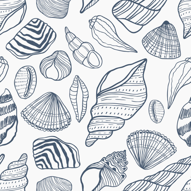 海贝无缝矢量模式。美丽的自然纹理和线条。图片下载