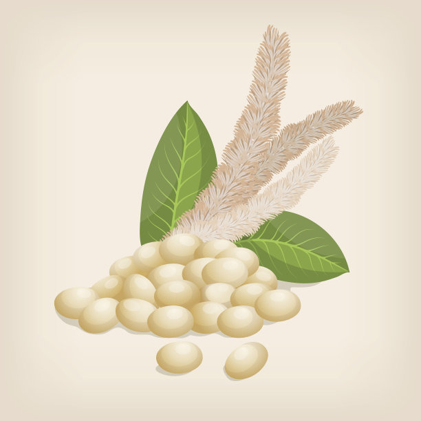 籽粒苋花和叶。矢量插图。图片下载