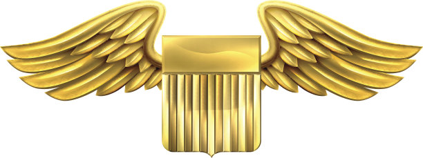 美国带翅膀的神盾图片下载