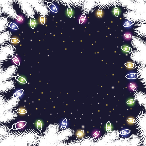 白冷杉树枝图片下载