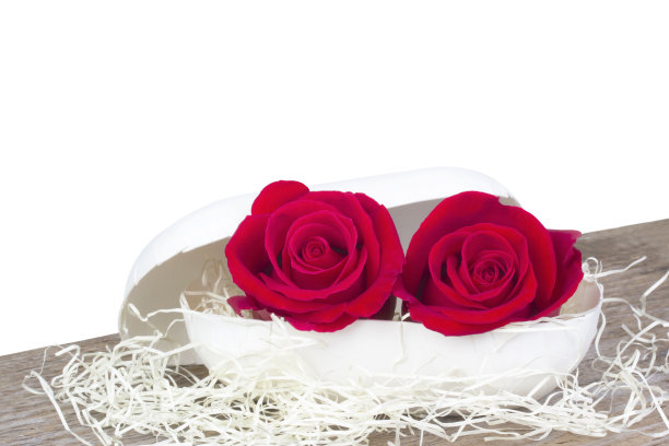 泡沫盒里的红玫瑰图片下载
