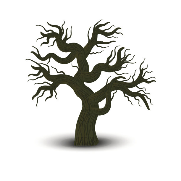橡木孤立在白色背景。矢量插图。图片下载