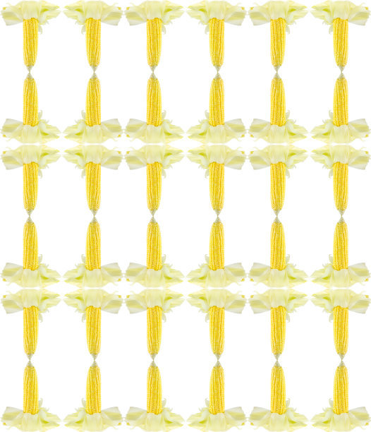 鲜玉米芯无缝花纹背景图片下载