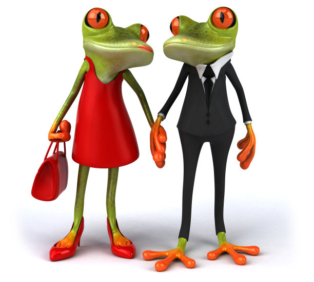 性感的青蛙图片下载