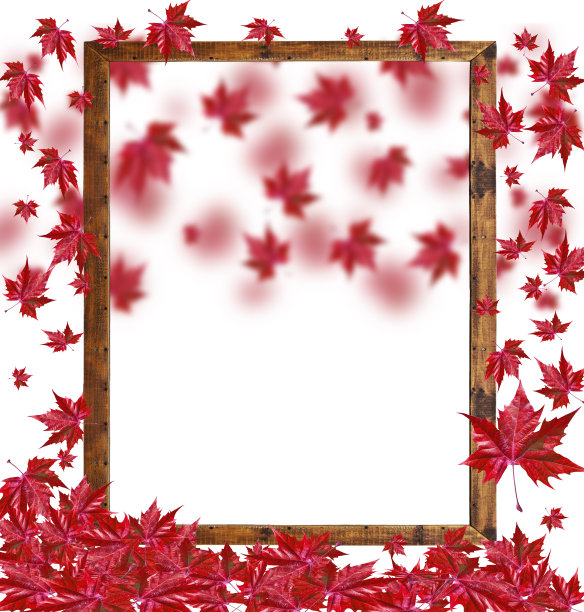 秋天的落叶在空荡荡的木框上孤立的白了图片下载