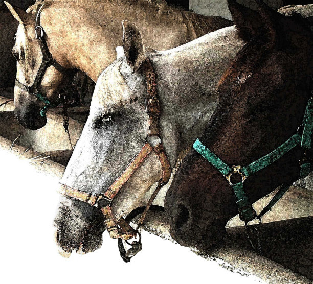 马三部曲图片下载