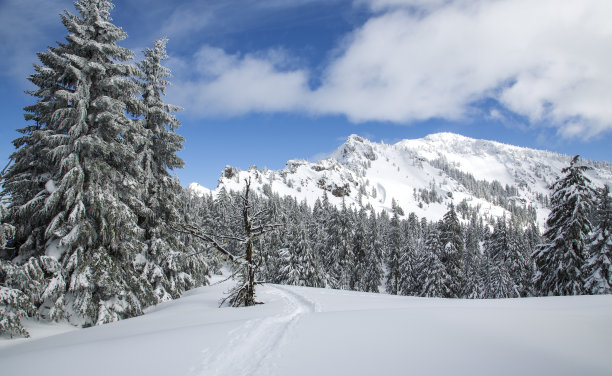 冬季的火山口湖NP图片下载