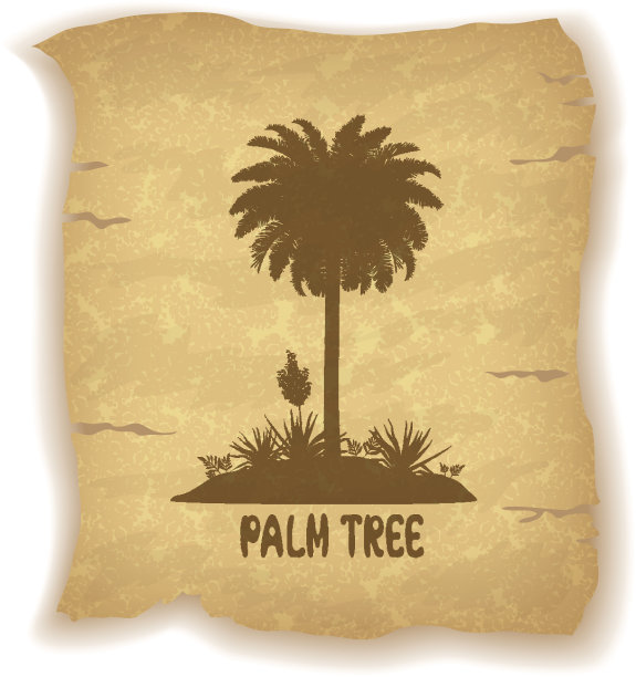 旧纸上的棕榈树剪影图片下载
