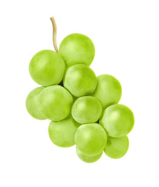 白色背景上的葡萄图片下载