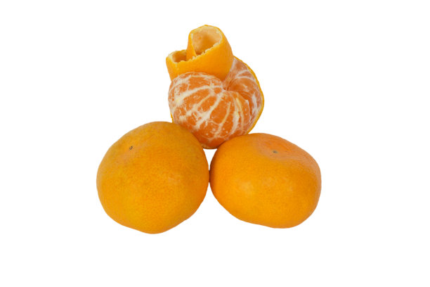 白底上三只橘子图片下载