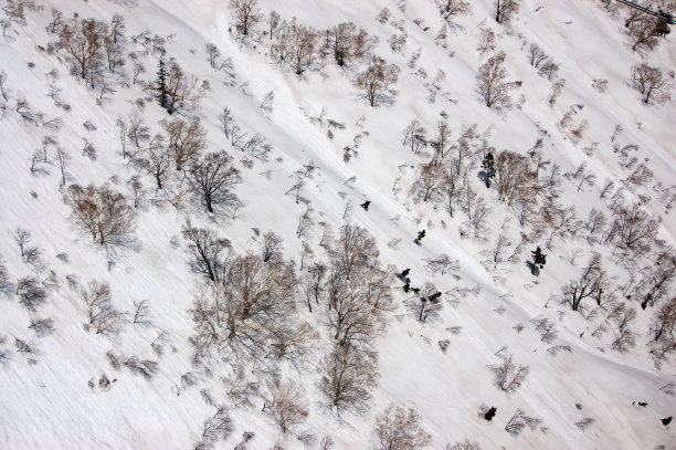 山索道，雪山山坡，光秃秃的树散落图片下载