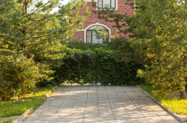 漂亮的绿色围墙图片下载