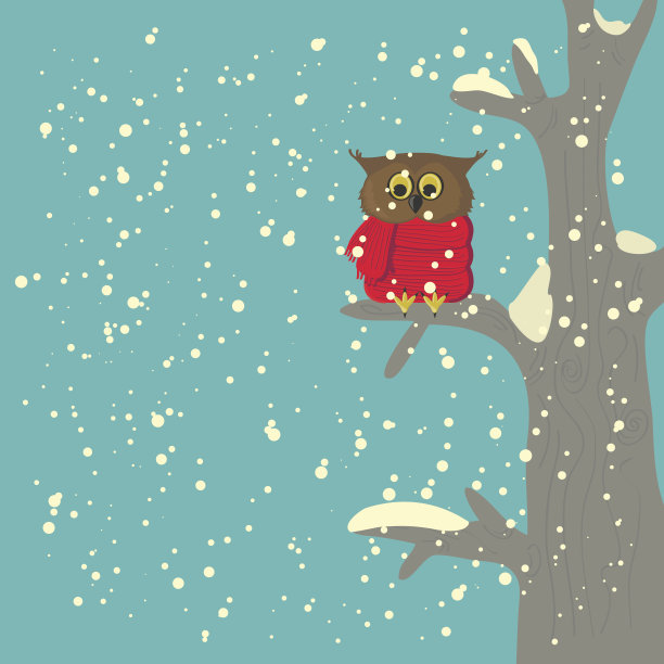 森林里的冬猫头鹰图片下载