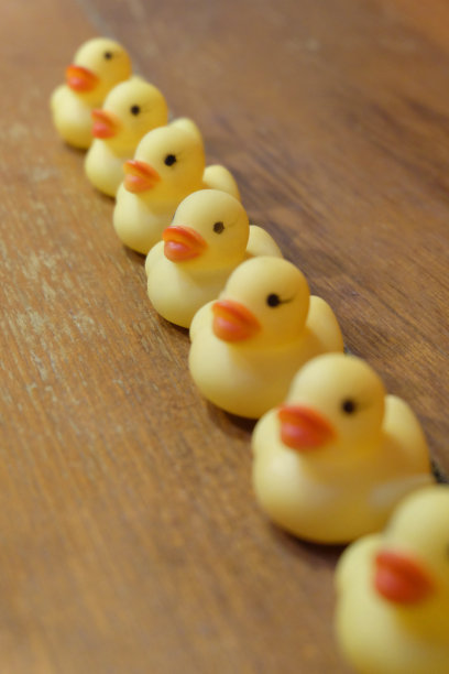 一组鸭子玩具杂志和卡片图片下载