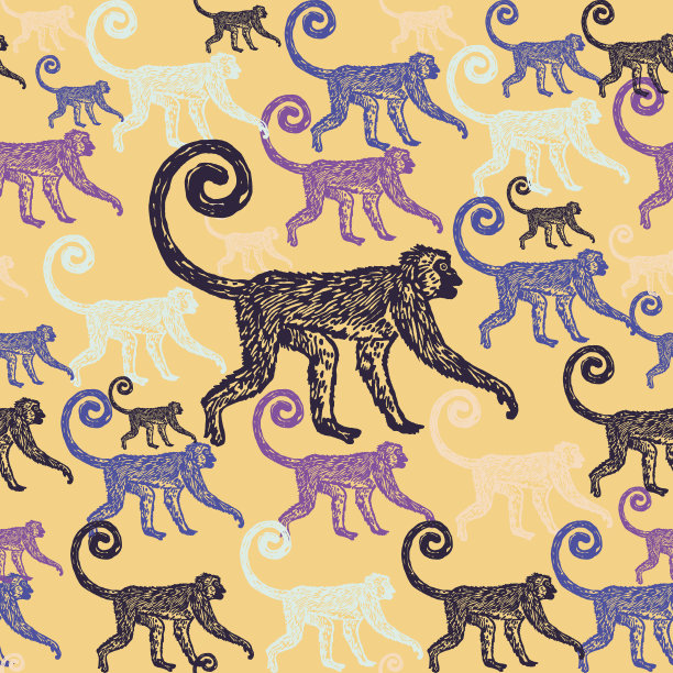 热带丛林猴子的背景图片下载