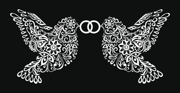 黑白双影的两只鸟，环孤立图片下载