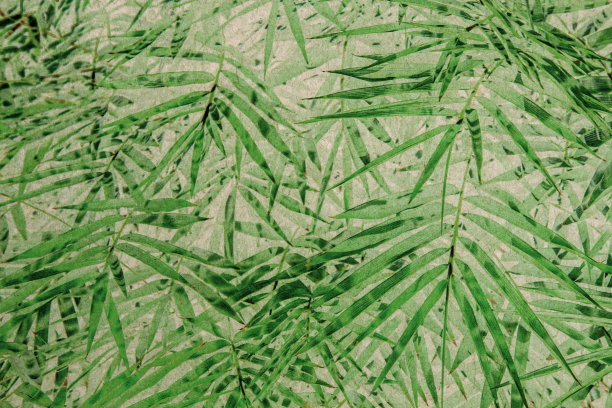 纸板背景条纹竹叶图片下载