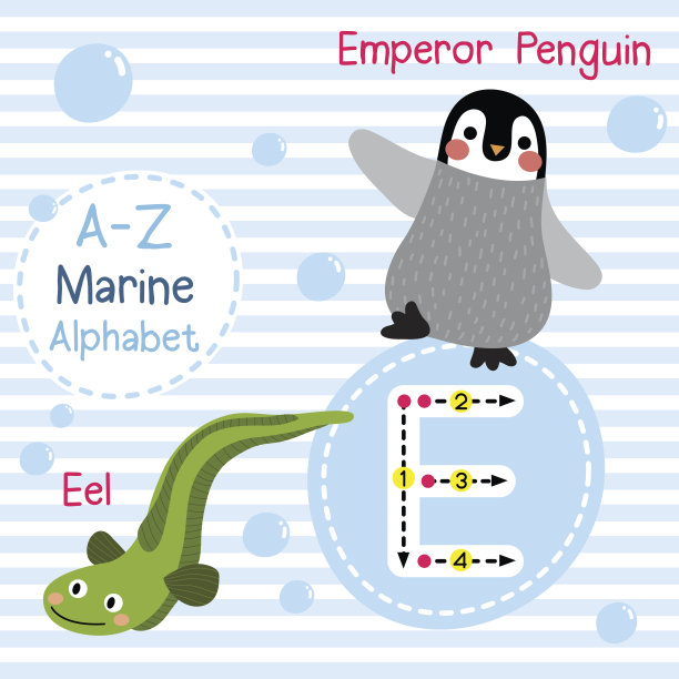 字母E描摹：帝企鹅，鳗鱼，海洋字母素材图片
