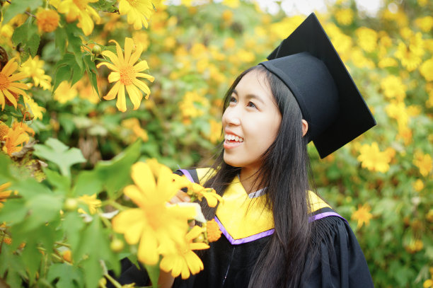 毕业于墨西哥向日葵田图片下载