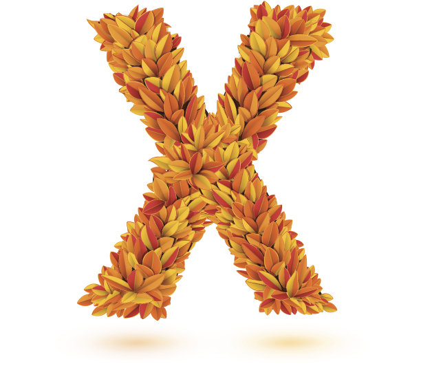 字母X的秋叶。图片下载