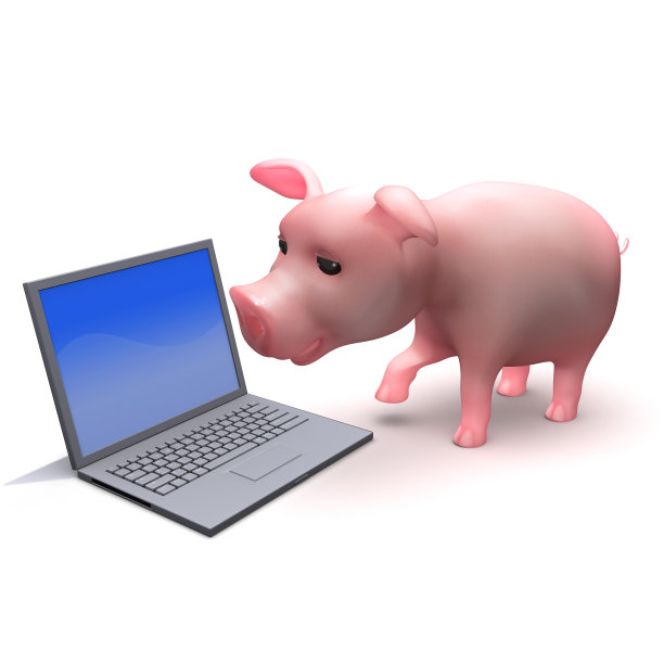 3 d小猪在线图片下载