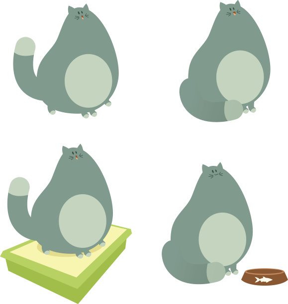 一群肥猫图片下载