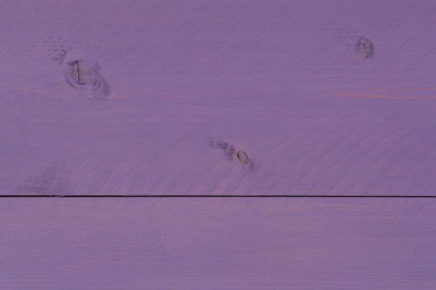 粉色沙滩上的昆虫图片下载