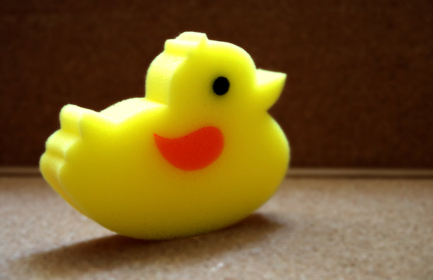 鸭海绵图片下载