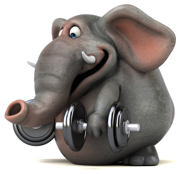 有趣的大象- 3D插图图片下载