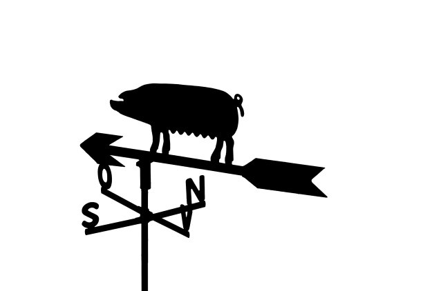 风向标清管器图片下载