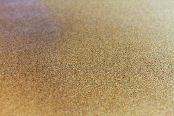 沙滩和阳光图片下载