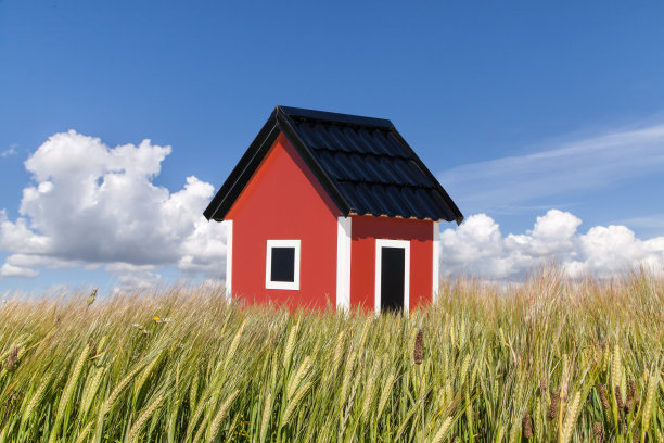 在字段图片下载