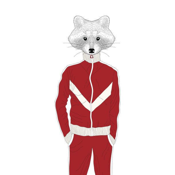 90年代运动套装里的冷血浣熊男孩。图片下载